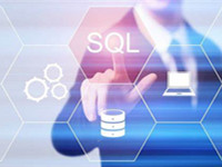Bisend SQL Server Hosting
